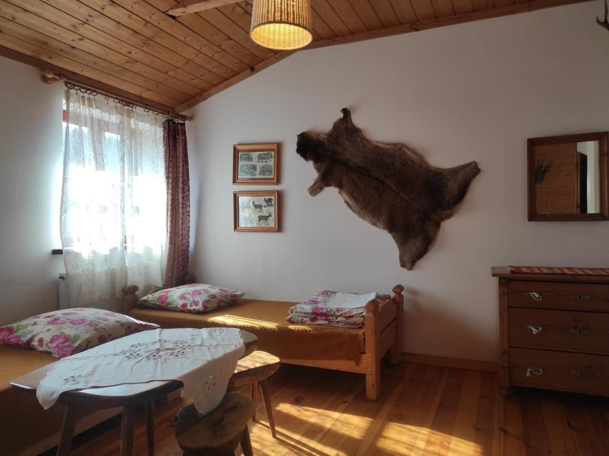 Hajstra Hotel Krempna ภายนอก รูปภาพ