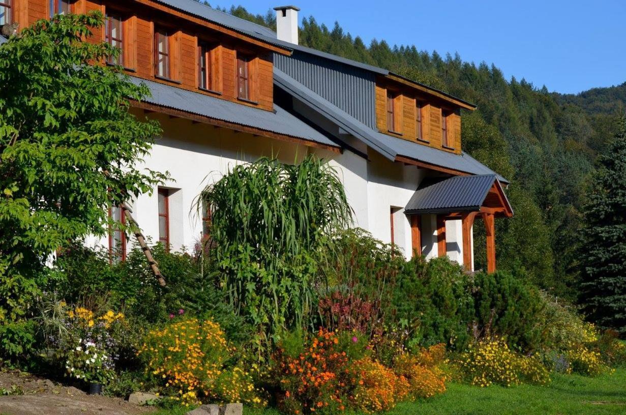Hajstra Hotel Krempna ภายนอก รูปภาพ